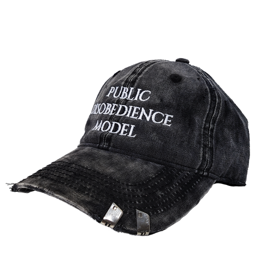 PUBLIC DISOBEDIENCE HAT: BRUISED