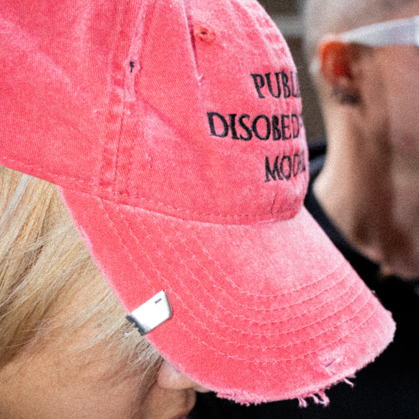 PUBLIC DISOBEDIENCE HAT: FADED RED